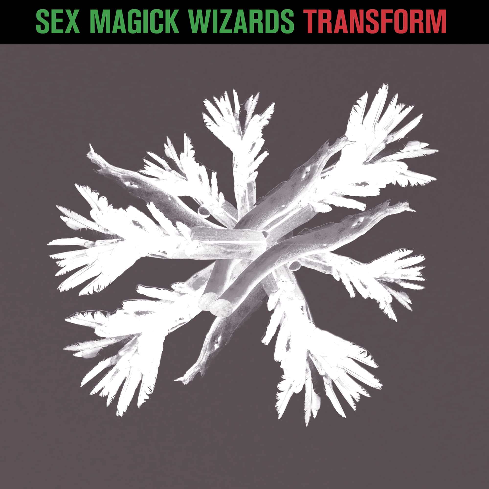 Sex Magick Wizards announce new single 2 Sex Magick Wizards announce new single